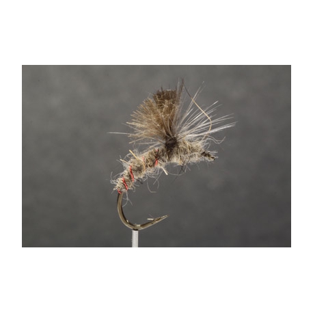 EMERGENTE DE SEDGE MONTAGE PARACHUTTE ( N°144Bis )