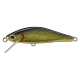 AR - FS MINNOW ( N° 01 )