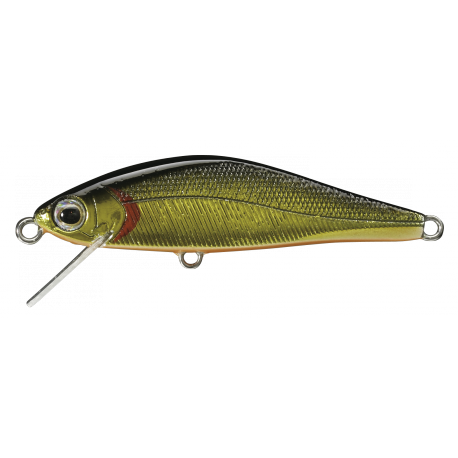 AR - FS MINNOW ( N° 01 )