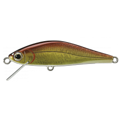 AR - FS MINNOW ( N° 02 )