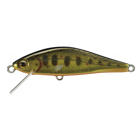 AR - FS MINNOW  ( N° 04 ) 