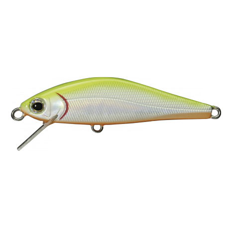 AR - SF MINNOW  ( N° 05 )