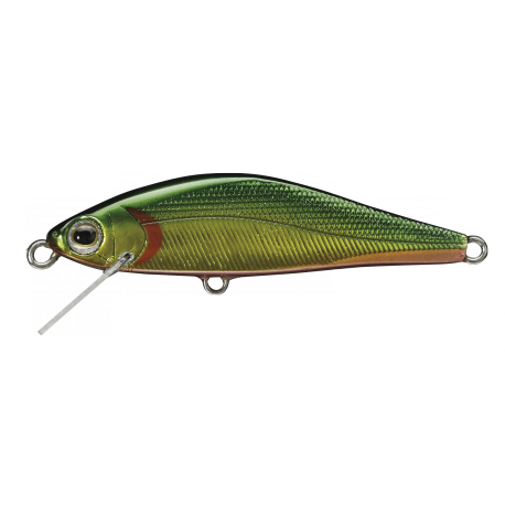 AR - FS MINNOW  ( N° 09 ) 